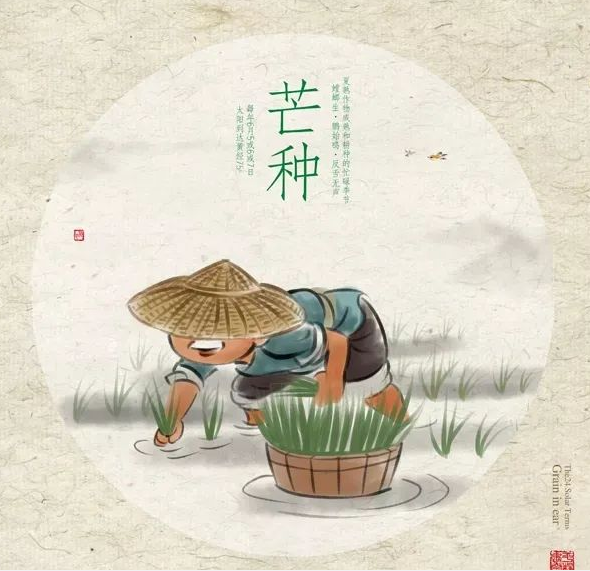 芒種時節(jié)，習(xí)俗不“盲”-普樂斯等離子清洗機