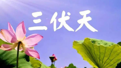 入伏，或開啟蒸煮模式-普樂斯等離子清洗機(jī)