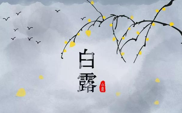 今迎白露，盛夏退場-普樂斯等離子清洗機